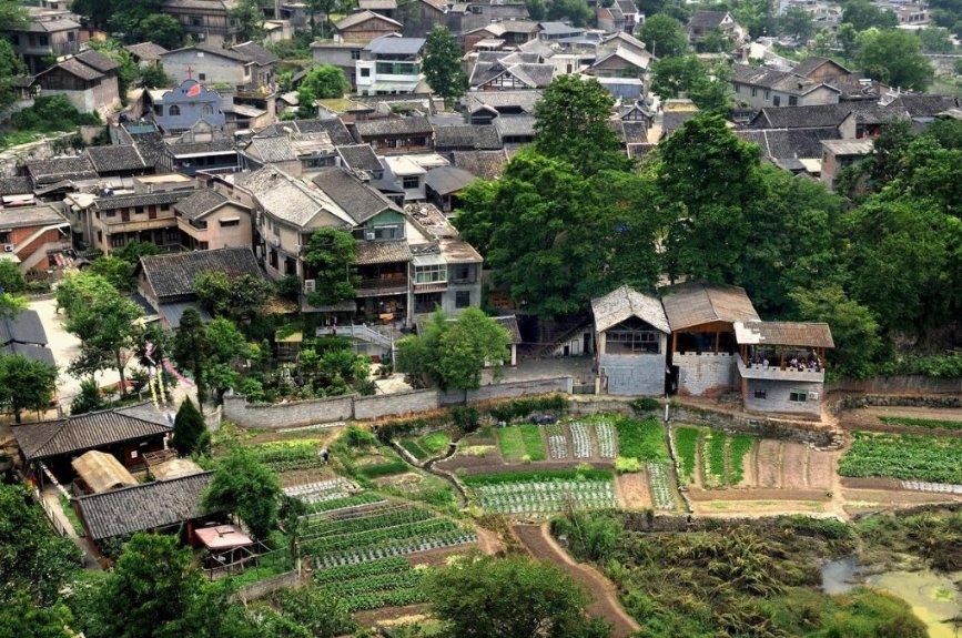 熊出没水果大陆2